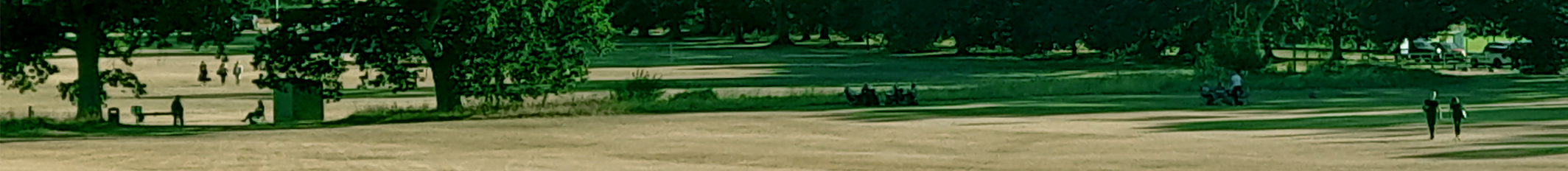The picnic field- Brownsea Open Air Theatre at Canford