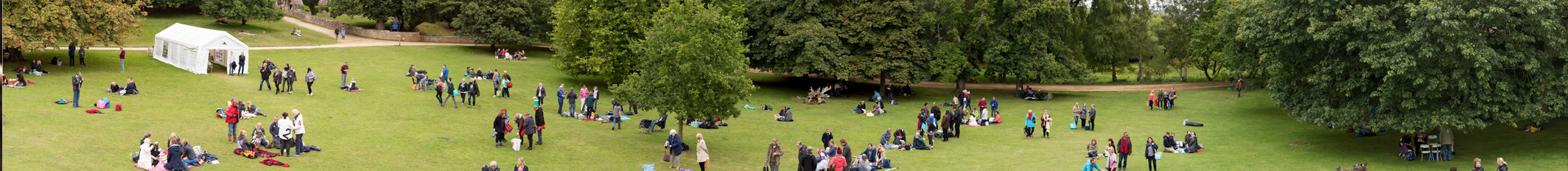 Patrons enjoying their picnic on the field.